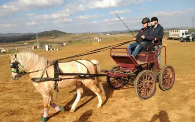 Celebrado en Fuente Obejuna el VIII RAID VALLE DEL GUADIATO y IV CARRERA DE POSTAS