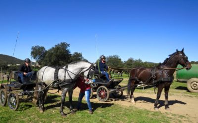 Celebrada la Carrera de Postas en Ojuelos Altos