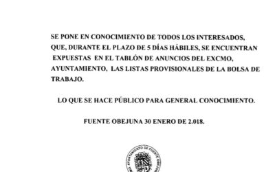 Listas Provisionales de la Bolsa de Trabajo 2018