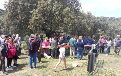 Las aldeas de Fuente Obejuna celebran sus Romerías con tiempo primaveral